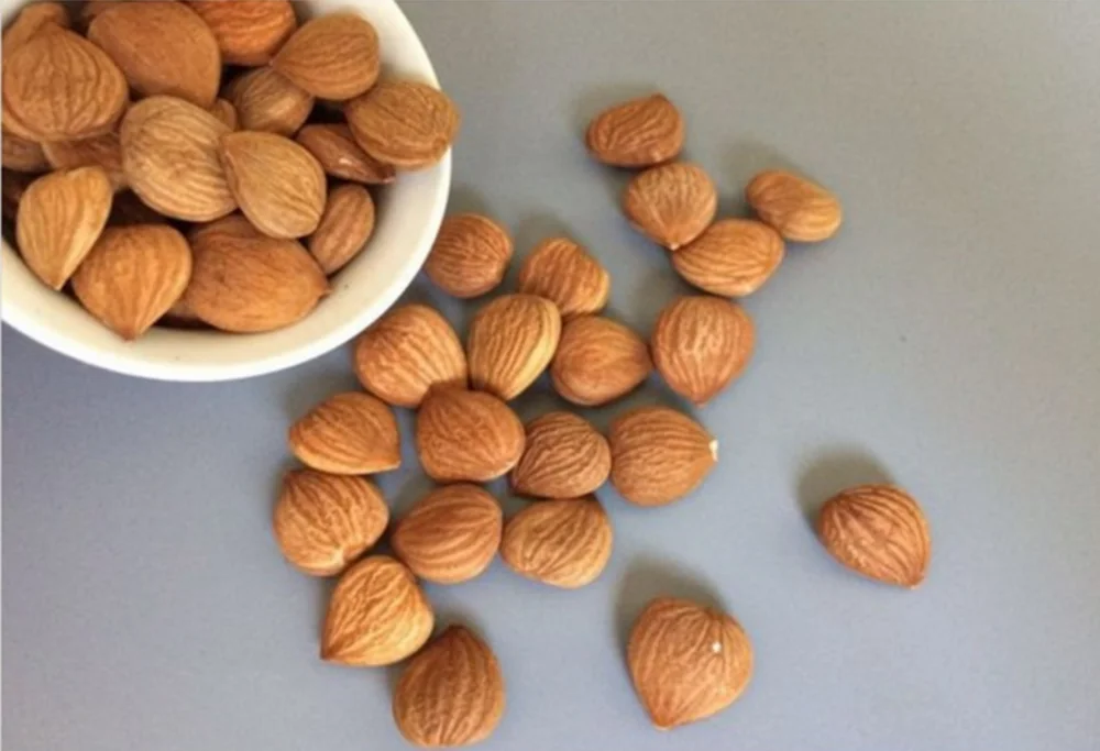 
Bulk Organic Raw Apricot Kernels Without Shell 