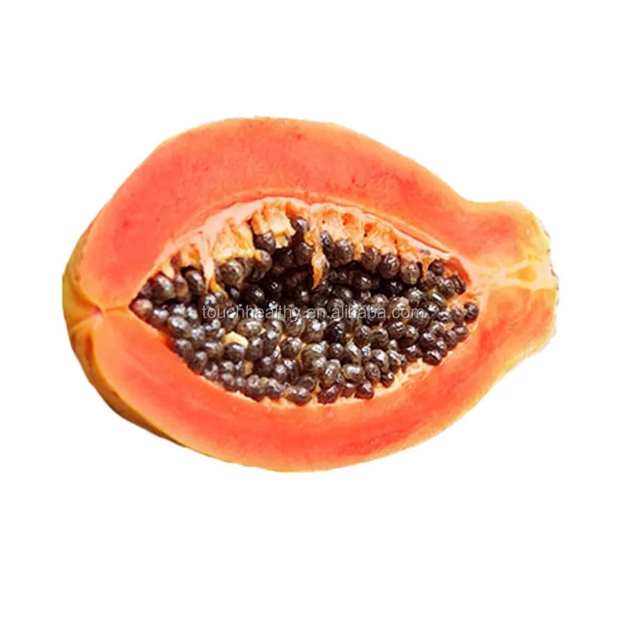 
2021 Red Lady Papaya seeds hybrid with good price 