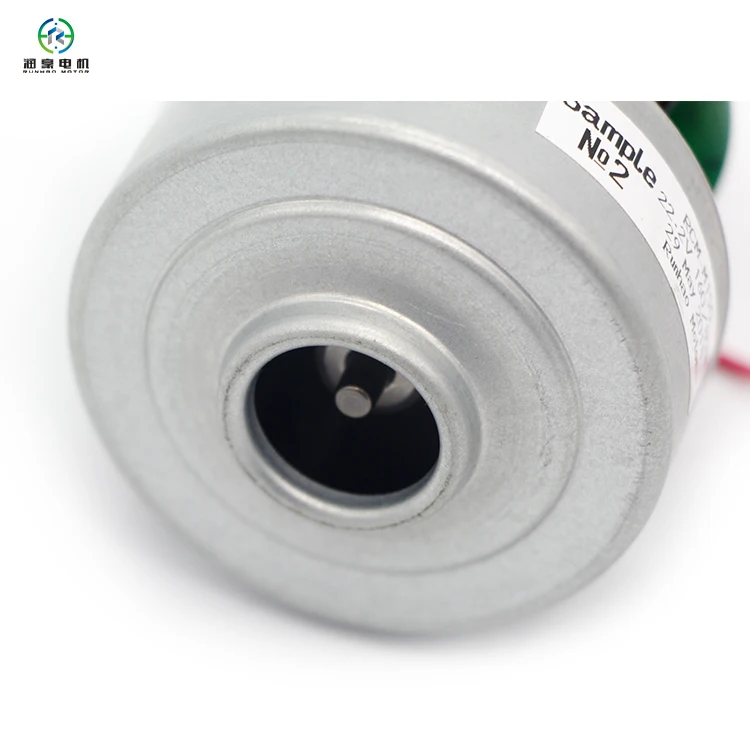 Small Commercial Brushless DC Vacuum Cleaner Motor for Sale