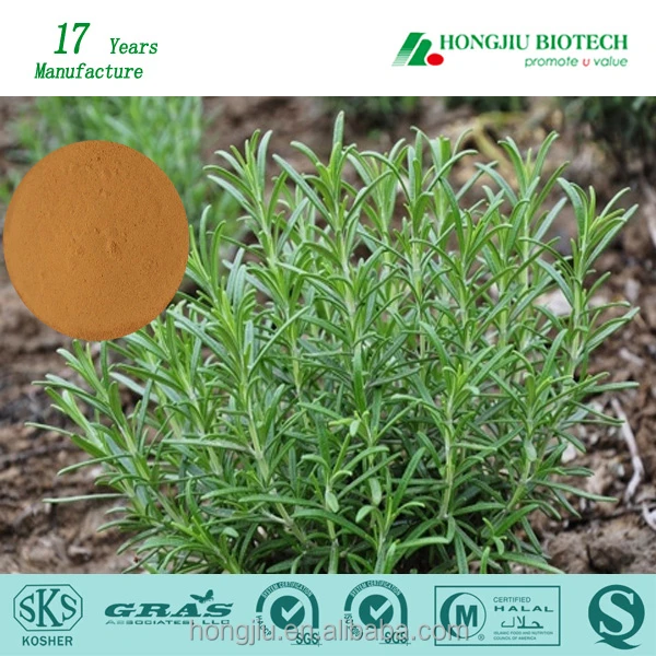 
Chinese Herbal Medicine 100% Pure Natural Rosemary Extract Powder 