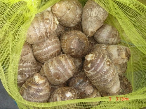 
china fresh taro root 