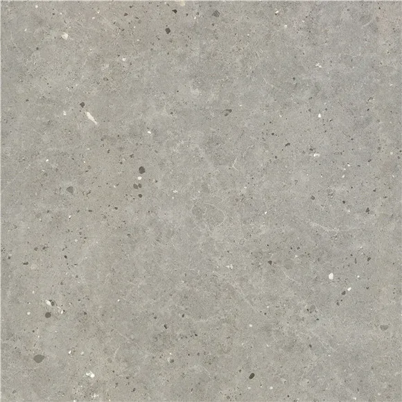 anti slip Matte finish porcelain ceramic wall and floor tiles price