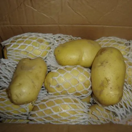 
Price of Fresh Holland Potato Yellow Potatoes export to Sri Lanka 