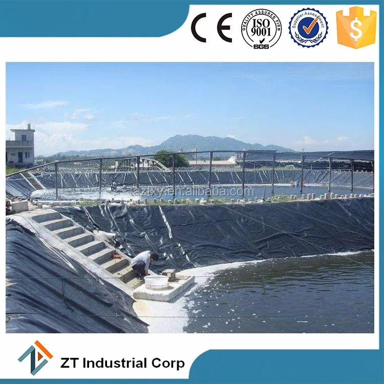 black plastic sheeting hdpe geomembrane for pool/fish farm pond liner