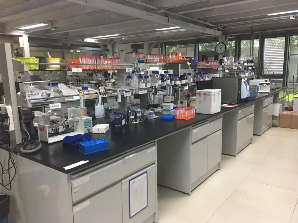 BeaverBeads Protein A Immunoprecipitation(IP) Test Kit by superparamagnetic microspheres