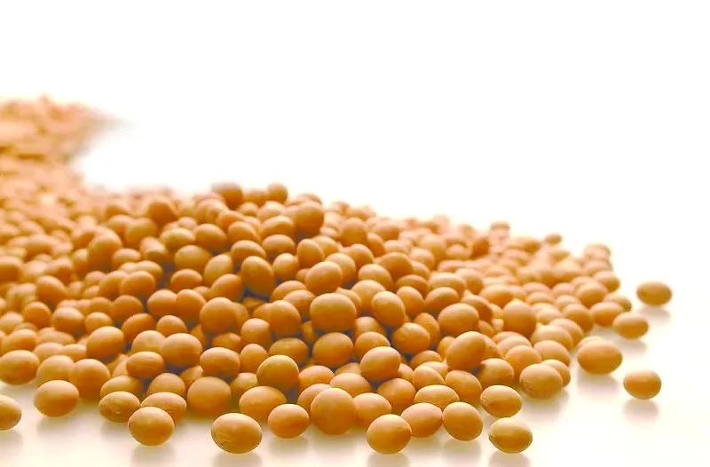 
Free Samples Manufacturer supply Food Grade Soyabean Oil 