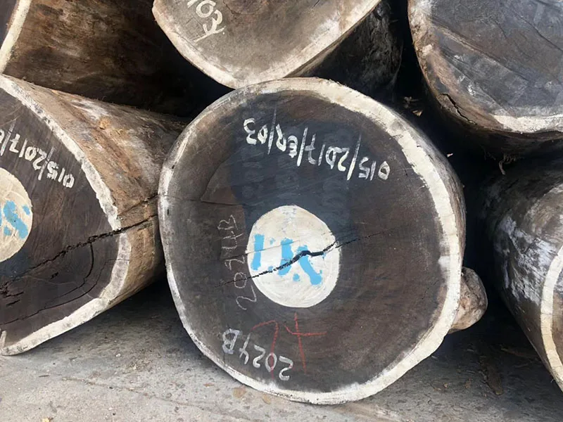 Дешевые деревянные бревна Wenge /Teak / IROKO/bilinga