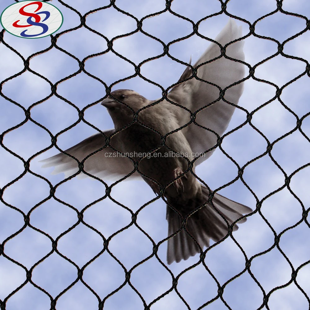 black agricultural hunting bird anti net to catch bird