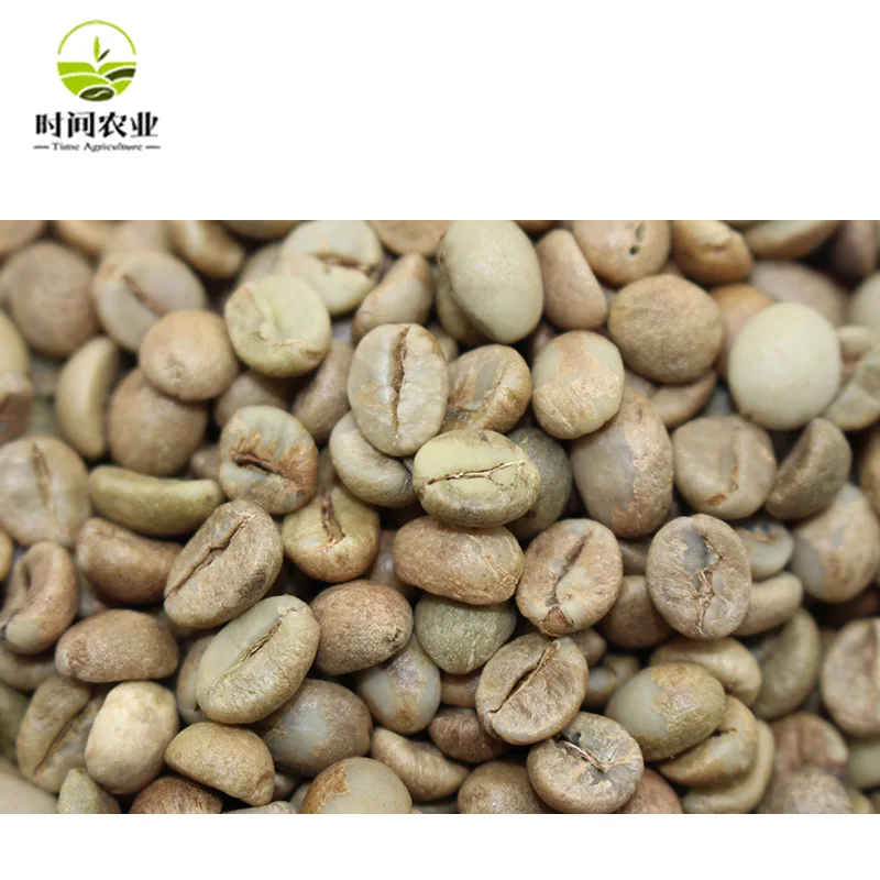 
China supplier robusta green coffee beans wholesale 