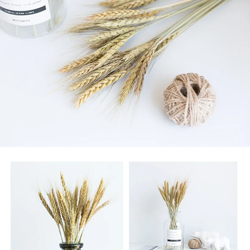 Plants Decoration Artificial Dires Flower Pure Natural Ear Of Wheat