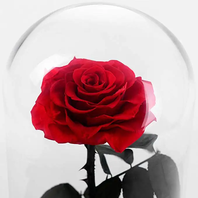 Wholesale eternal luxury roses real preserved flower roses in glass dome