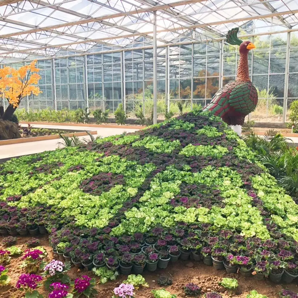 Greenhouse Hydroponics for Leafy/Fruit Vegetables for Agriculture/Modern High-tech Farming