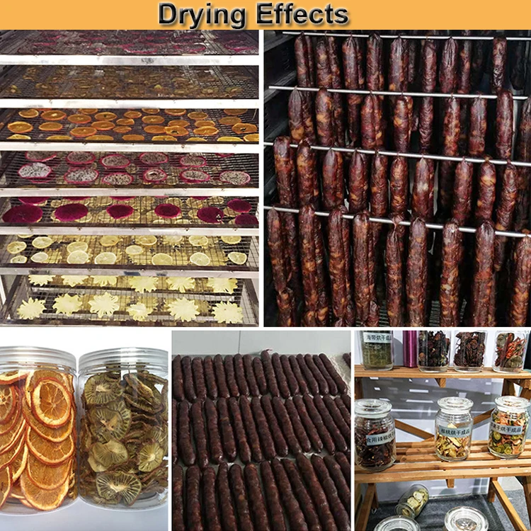 Multifunctional onion mushroom pepper drying machine for sale