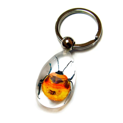 Cool Real Insects Scorpion Resin Specimen Keychain Keyring Custom Make Factory Price Mix Order Promotional Educational Gift