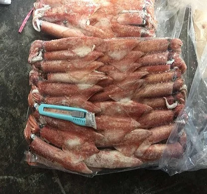 frozen bali squid best price