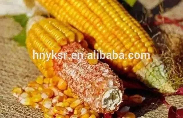 Automatic Maize Sheller Thresher Corn Threshing Machine