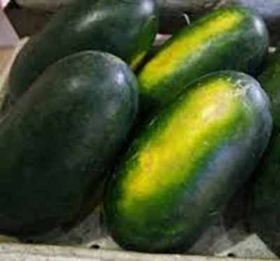 HP Black Skin Red Flesh Hybrid Watermelon Seeds
