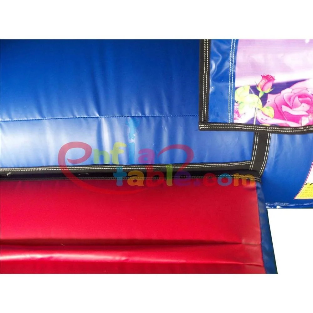 Детский надувной замок Инга, аренда для рынка Аделаиды