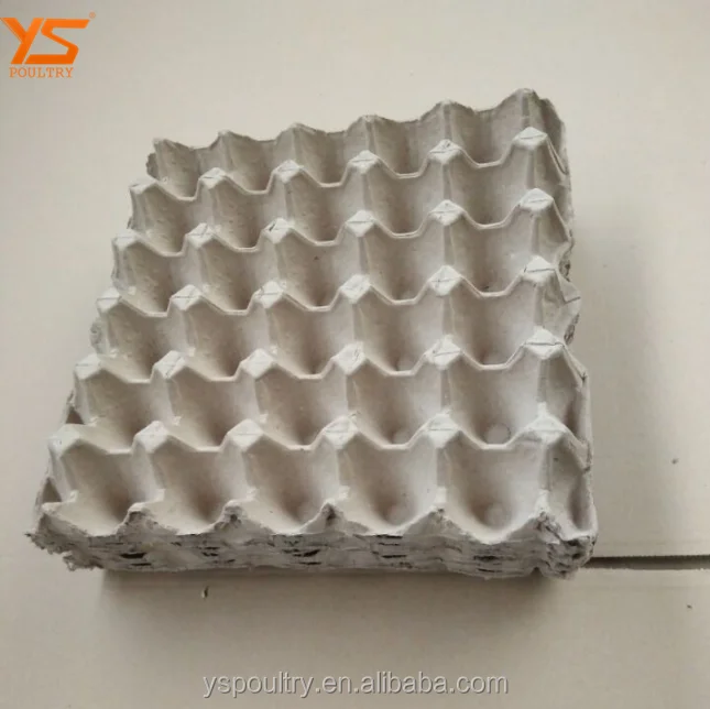 
Biodegradable Paper Pulp Egg Tray Price 