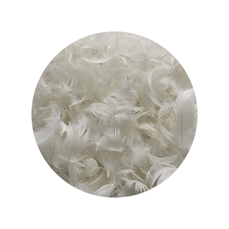 
Wholesale price washed 2-4CM white duck feather for filling 