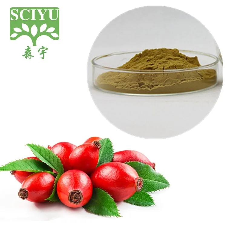 
TOP SALE! Rosehip Fruit Extract Powder 5:1 10:1 20:1 
