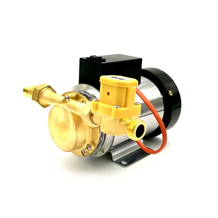 Горячая Распродажа автоматический переключатель давления мини-насос для горячей воды