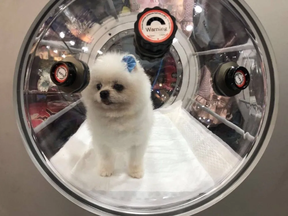 MACY-PAN HP600 pet Hyperbaric Oxygen Chamber Veterinary Equipment