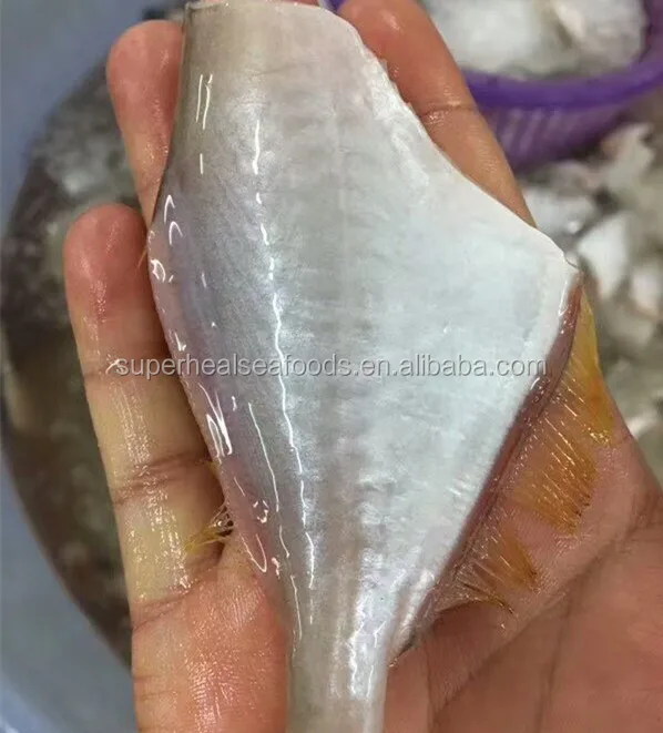 50-200g HGT Jerk Filefish Leather Jacker fish