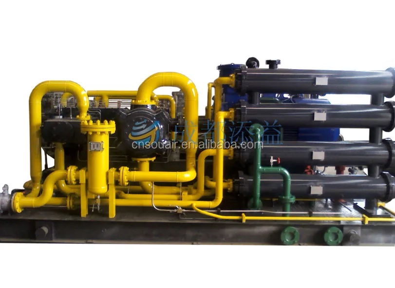 CNG D/M Type Standard Mother Station Compressor Natural Gas compressor