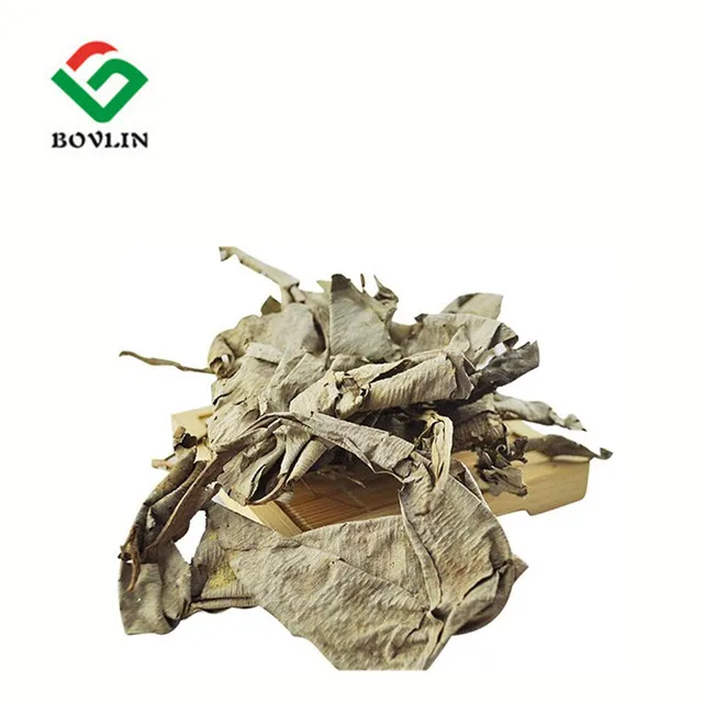 
Competitive Price Kacip Fatimah Leaf Extract Labisia Pumila for Female Health 