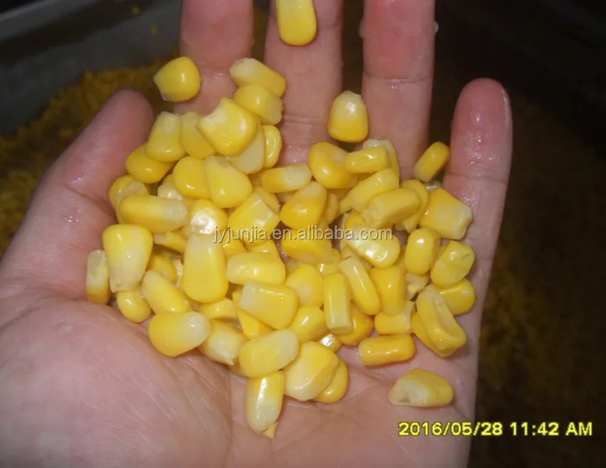 sweet corn 340g/250g made in Chinese Factory