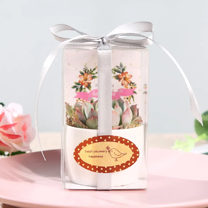 Wedding Favor Clear PVC Packaging Box Transparent PET Plastic Box With Ribbon