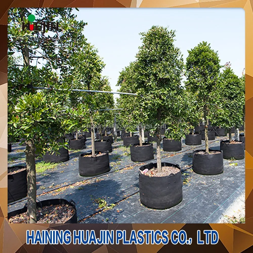 manufacturer garden planter bag Biodegradable grow bag Fabric Pots Grow Bag