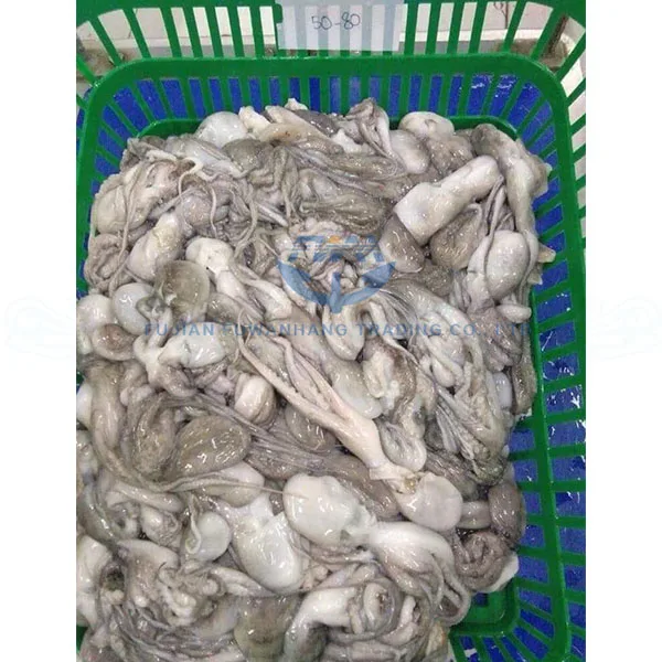 
Frozen octopus long leg with cheap price 