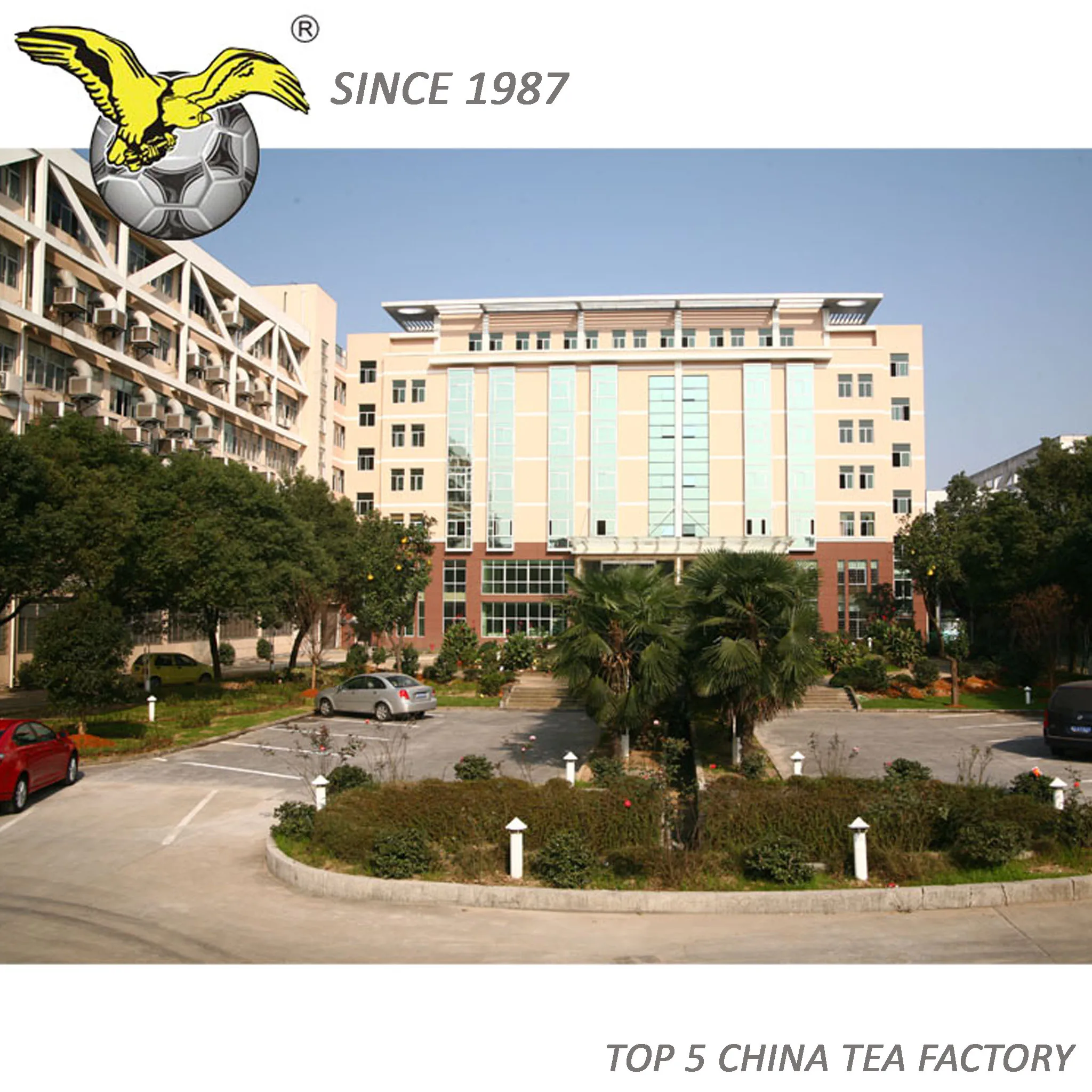 Good Quality green tea 9375 factory price to Turkey, libya