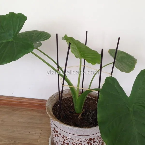 Томатный спиральный колпачок высшего качества от производителя