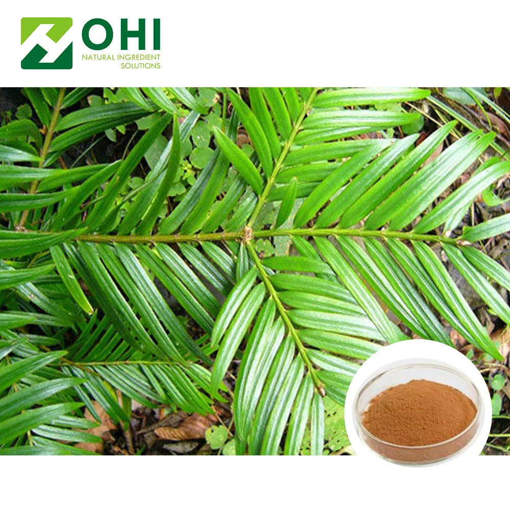 active Ingredient supplier nature Amentoflavone Selaginella Tamariscina Extract