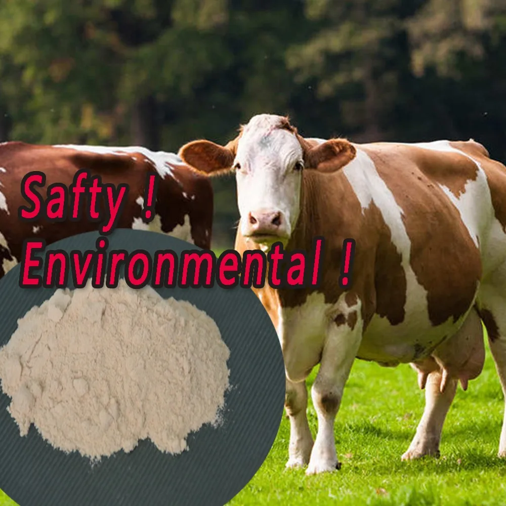 
Biological Feed Additive Bacillus Subtilis Fermentation 