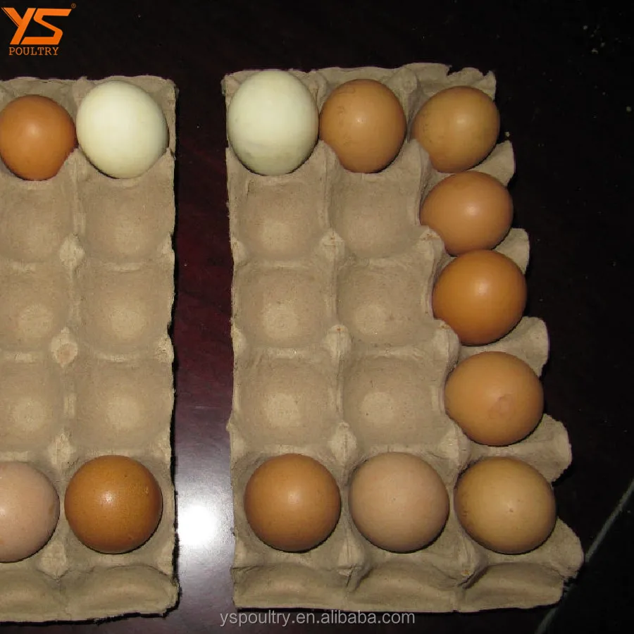 Лоток для яиц из целлюлозы 30 ячеек