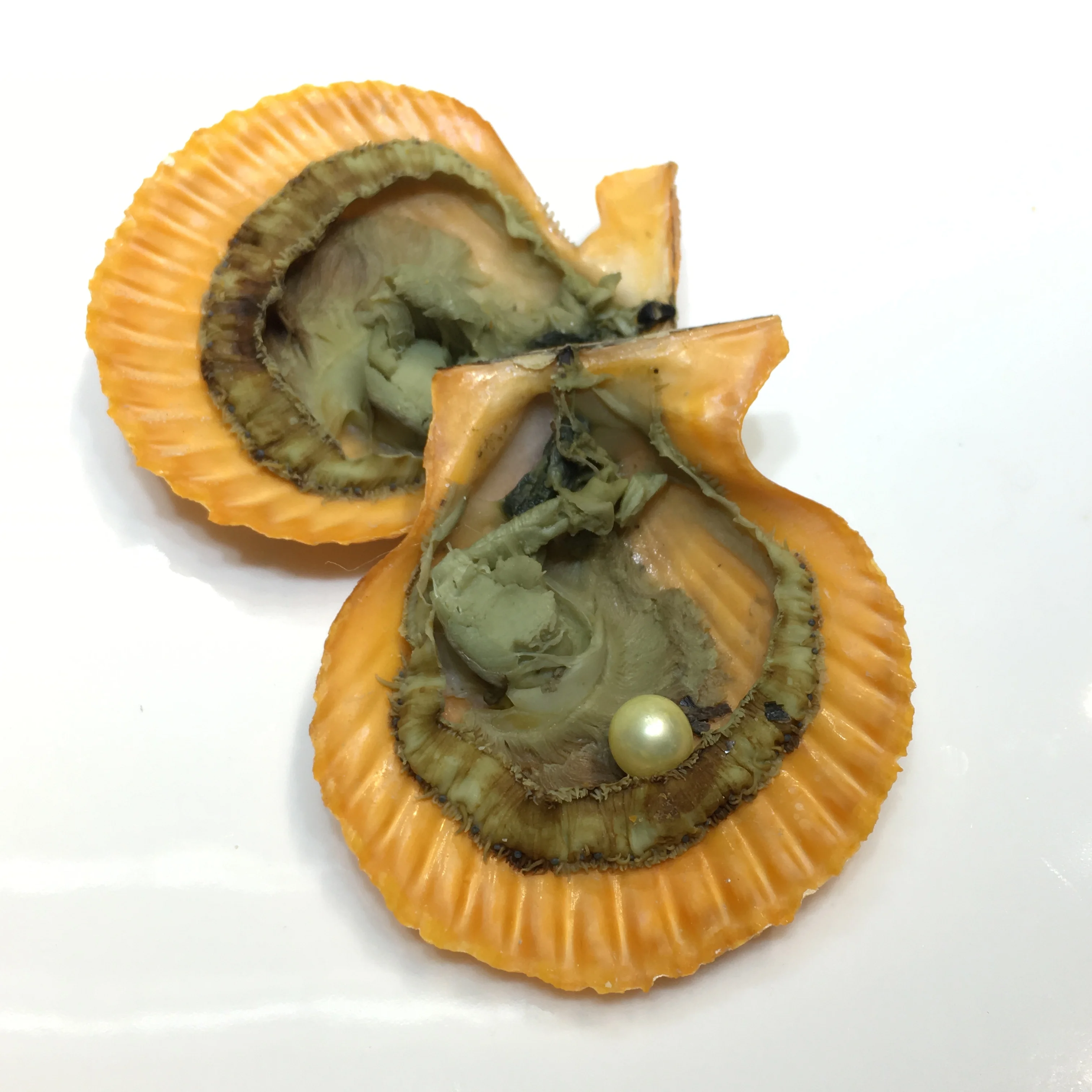 
Single, AAA grade 8-9mm mix 17 colors round pearls, 1 pearl in 1 red oyster shell, be packed in individual vacuum 