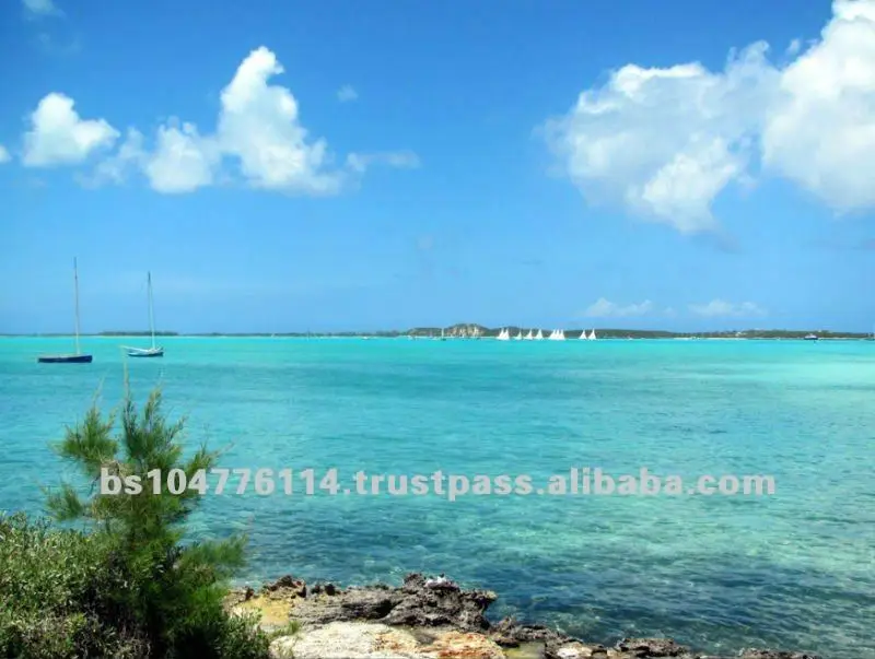 
Скидка 20% на наземные земли на пляже аклинса для продажи 