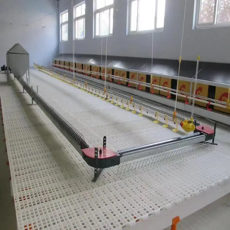 Plastic Floor Slat For Chicken and Duck Pig House in Poultry Farm