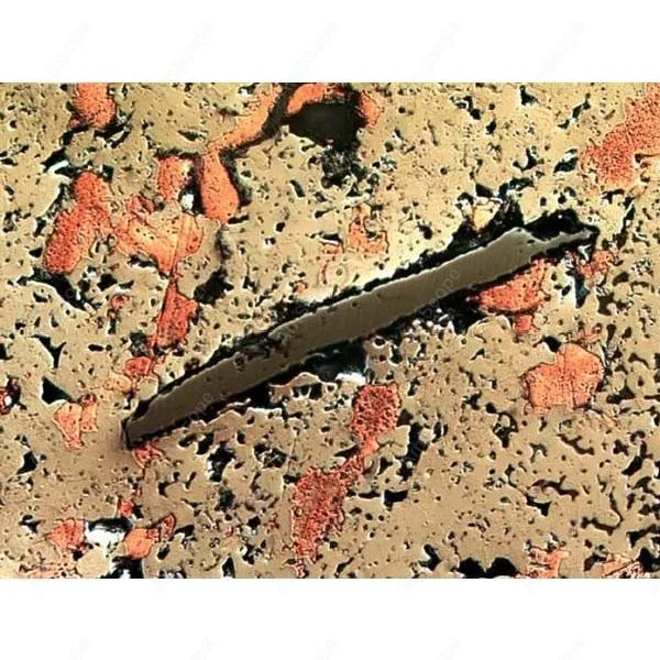 
AmScope Supplies 40X-2000X Polarizing Metallurgical Microscope w 2 Lights + 5MP Camera 