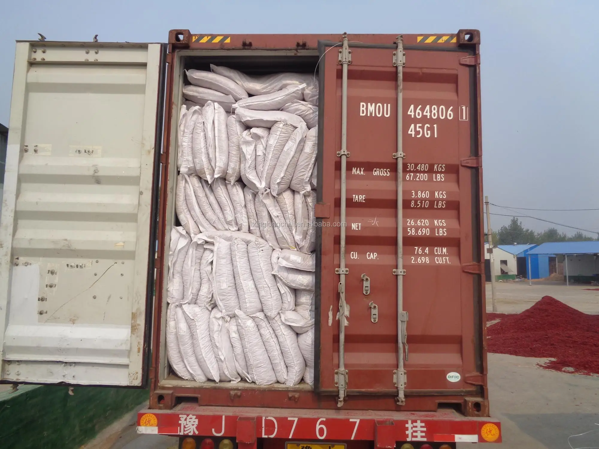 hot chili  dried by sun