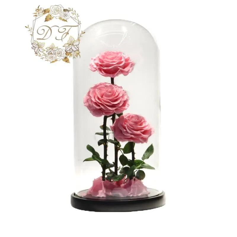Wholesale Preserved Rose In Glass Dome For Wedding Decorations