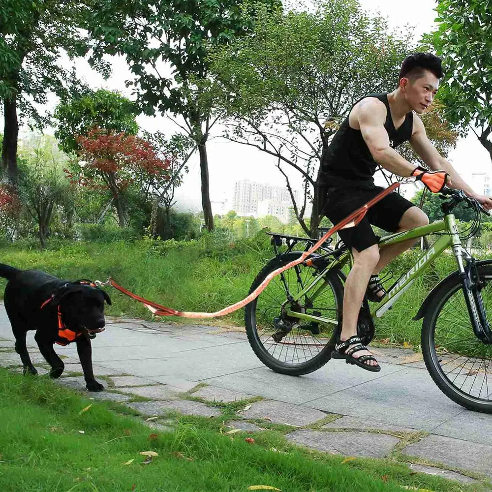 TAIL UP Pet Supplies Dog Leash Hands Free Pet Lead for Bike