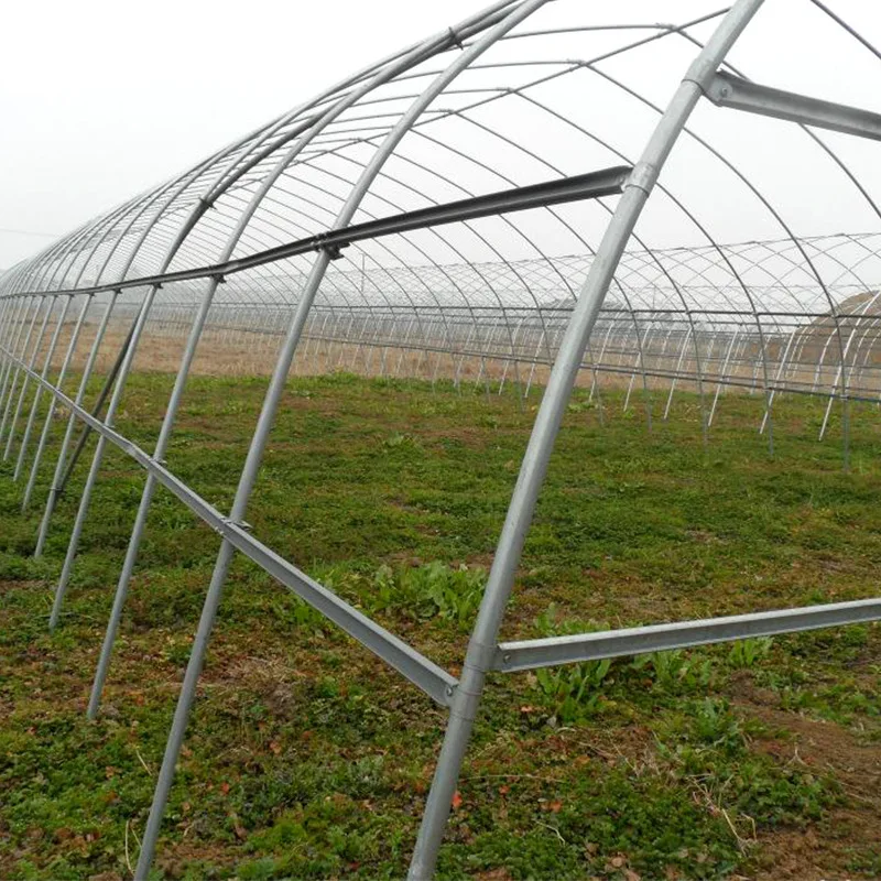 Venlo Type PC-sheet Tunnel Agricultural Greenhouse Kits With Hydroponic Systems For Sale