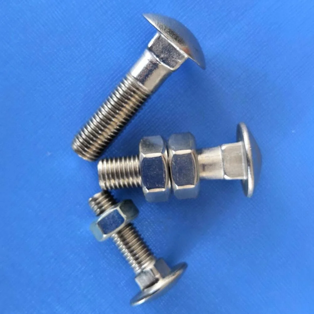 SS304 кареточные болты с гайками DIN603 с DIN934 высокое качество