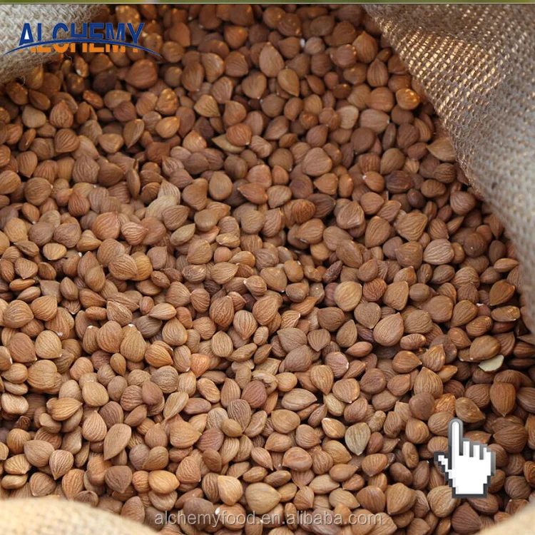 Натуральные зерна Горького абрикоса