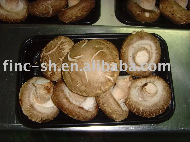 Shanghai Finc fresh shiitake mushroom high quantity